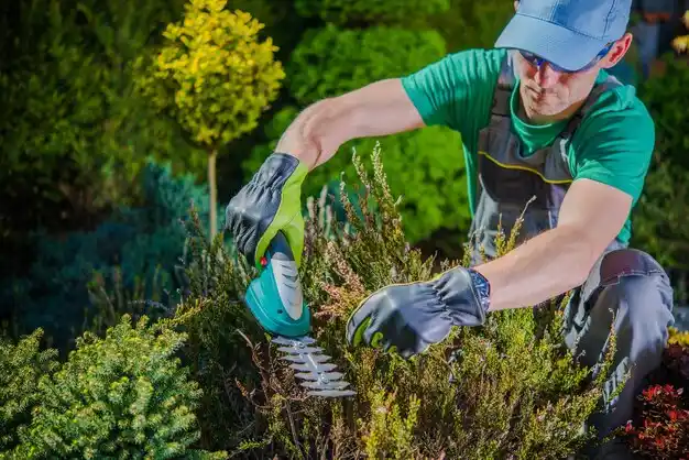 landscaping services Dover Plains